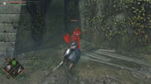 Demon's SoulsRemake/PS5/Черный фантом Палач Миральда