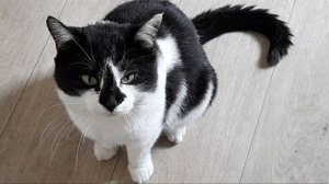 20250603_084957_001 Митя и рыба