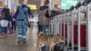 Колумбийский наркоторговец хотел доставить в РФ кокаин в диджейском пульте