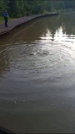 КРХ ТРИФОН