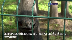 Белгородский зоопарк отметил свой 9-й день рождения
