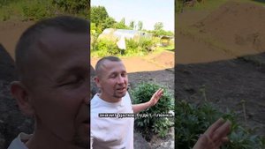 Брусчатка своими руками.