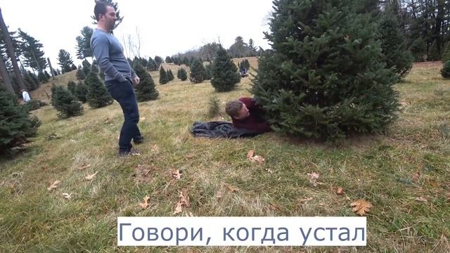 Американская семья ищет в лесу ЕЛКУ. смотреть онлайн