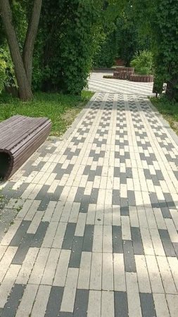 В парке.