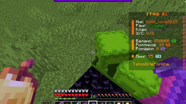 Я играю на лучшей копии сервера рилливорлда смотреть онлайн