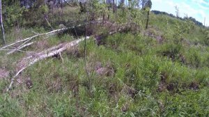Поездка на реку Шайтанка, Артынка, Сюткес и озеро Пять пальцев