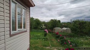 Самарская обл. Ново Семейкино. Наша дача.