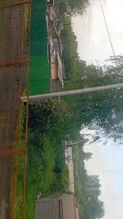 scene_output.mp4