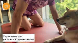 КОМПЛЕКС 6 МИНУТ