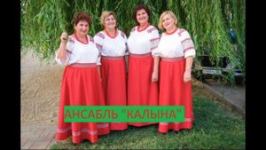 КАЛЫНА-Ягода рябина.