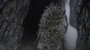 Hedgehog in the Fog (English Dub) / Ёжик в Тумане (английская озвучка)