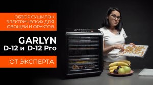 Подробный обзор электрической сушилки GARLYN D-12 и D-12 Pro от технического эксперта