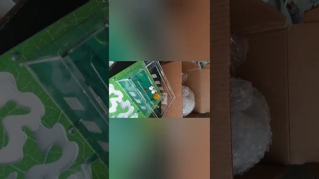 моя первая муравьиная ферма(распаковка и заселение смотреть онлайн