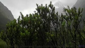 Музыка, от которой мурашки бегут по коже - это невероятно! - Lets Skip To The Good Bit -- Duncan Rei