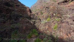 4K Bird’s Eye View of Spain’s Canary Islands | 1HR Nature Film + Calming Music in 60FPS