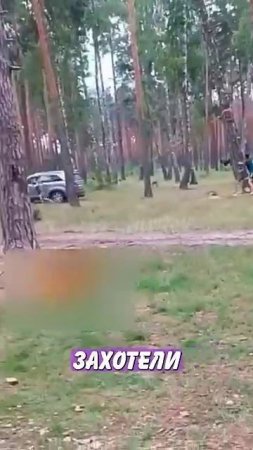 Новостничок (358)