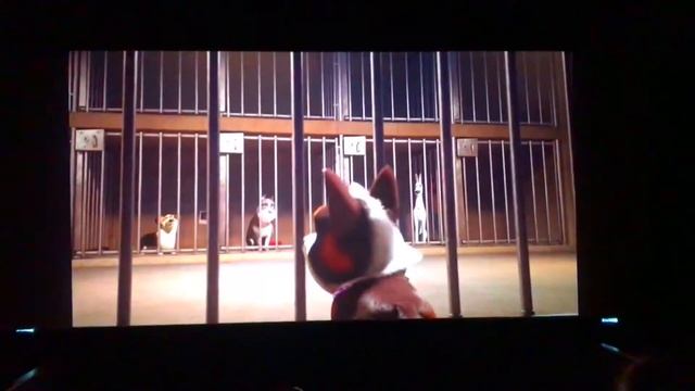 В кино «Королевские каникулы» ЦСП «Тэнгу Про» Самообо смотреть онлайн