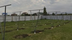 Установил опоры для винограда,  шпалеры стоят ровно