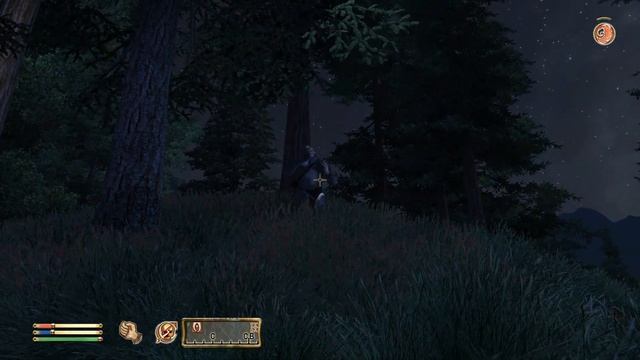 The Elder Scrolls IV: Oblivion слепое прохождение ч.67: Гуляем и пара? смотреть онлайн