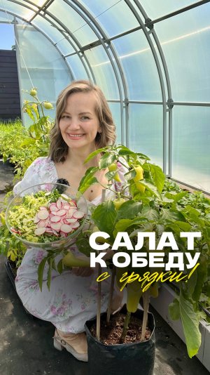 🥗 Салат к обеду — прямо с грядки!
