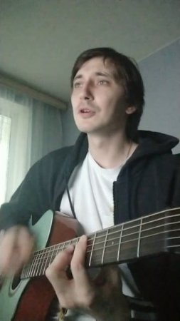 Сектор Газа - Демобилизация