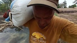 Обстановка на пределе👉Таиланд, что происходит