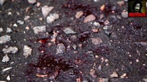 Урод. Страшные истории на ночь 🫣🫣🫣