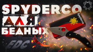 EDC нож SPYDERCO для БЕДНЫХ | EveryDay Carry