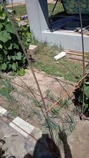 Опора под #виноград своими руками 💪 сделала из подруч смотреть онлайн