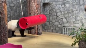 Киперы поздравили Катюшу с Днём защиты детей!