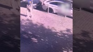 ‼️Подростки терроризируют двор в Химках‼️