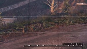 Фотоохота в GTA Online | Где найти кролика