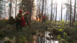 В Сыктывкаре снова вводится противопожарный режим