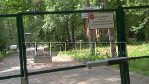 В частном доме для престарелых исчезла 84-летняя пациентка