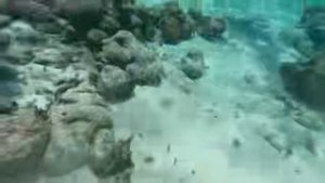 Сквозь иллюминатор затонувшего корабля: Тайны Каймановых глубин