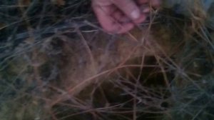 Как поставить петлю