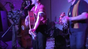 ALLIGATORS - Rockabilly Boogie