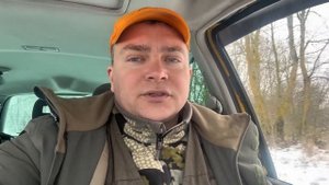 Волки съели собаку и были наказаны