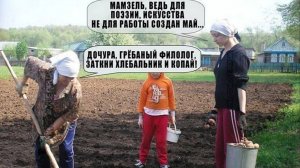 дорожки на даче