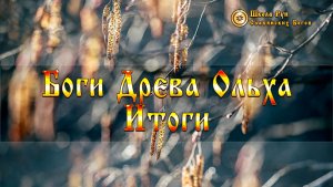 Боги Древа Ольха - Итоги. [Ведзнич]