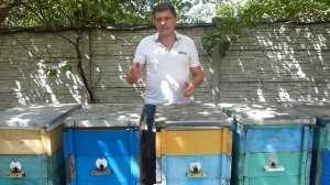 Как нарастить сильные пчелосемьи в зиму. Главные ошибки пчеловода в августе.