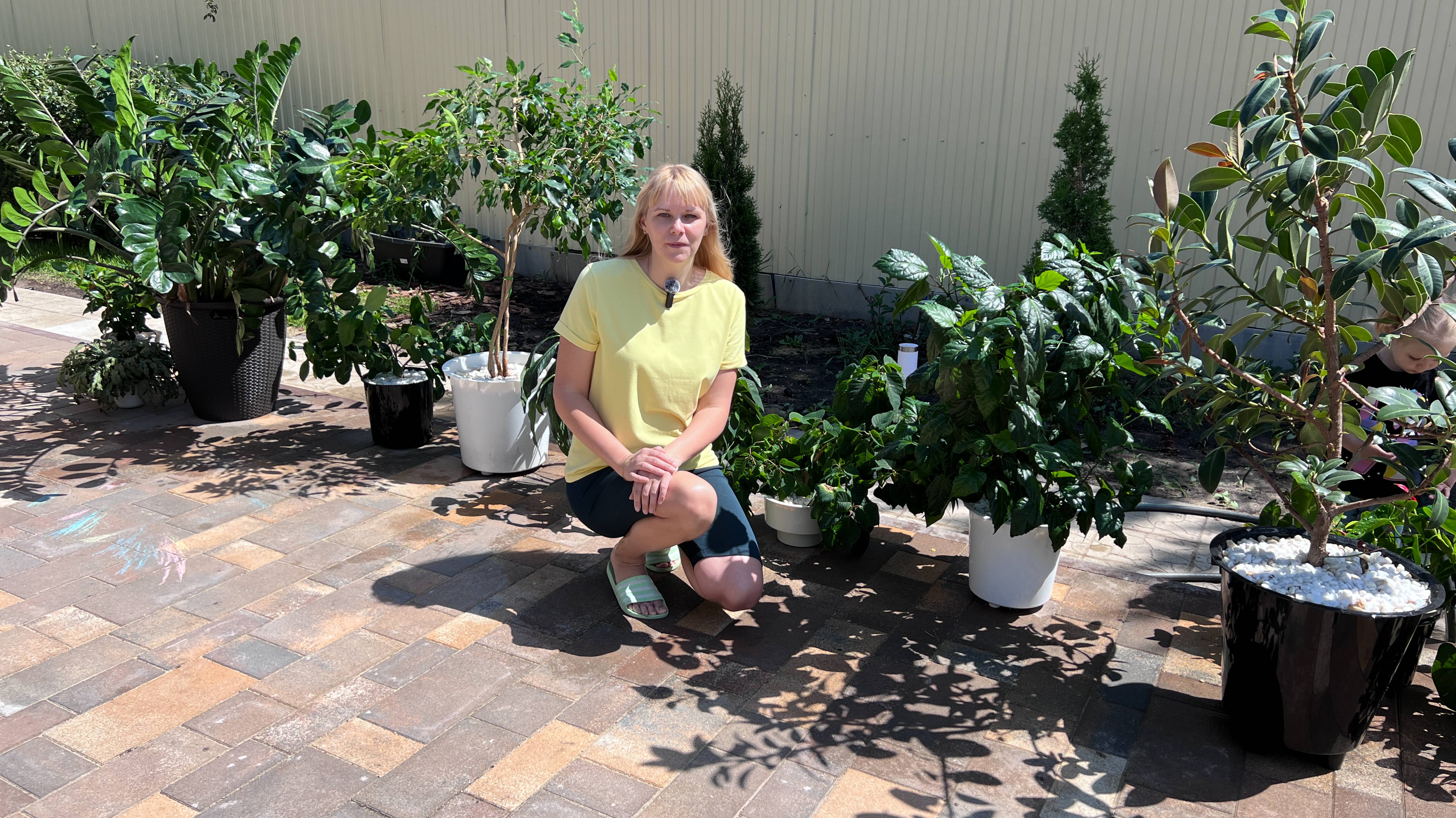 Купание комнатных растений летом на улице.