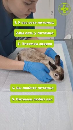 У вас все хорошо, если...