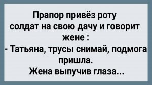 Как Прапор Жене На Дачу Роту Солдат Привез! Сборник Свежих Анекдотов! Юмор!