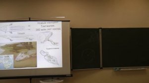 2014.11.06 - Зоология позвоночных - Шахпоронов В.В.