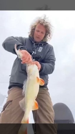Ну что, сегодня по окушкам? 🎣🦈👋
