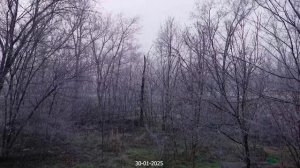 Три сезона зимы