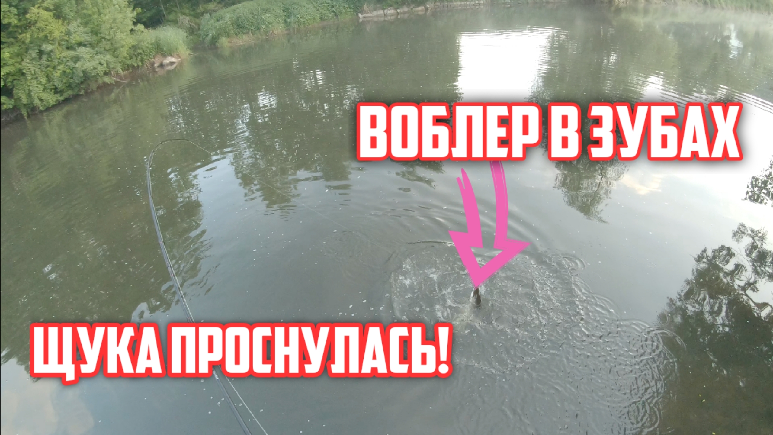 Ловля щуки на спиннинг в начале лета! Думал зацеп и все таки щука проглотила эту приманку японскую!