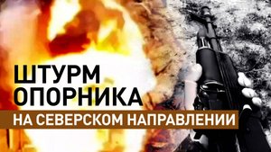 Мотострелки Южной группировки войск захватили укреплённый пункт ВСУ на Северском направлении