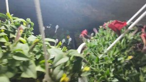 Ещё новиночки